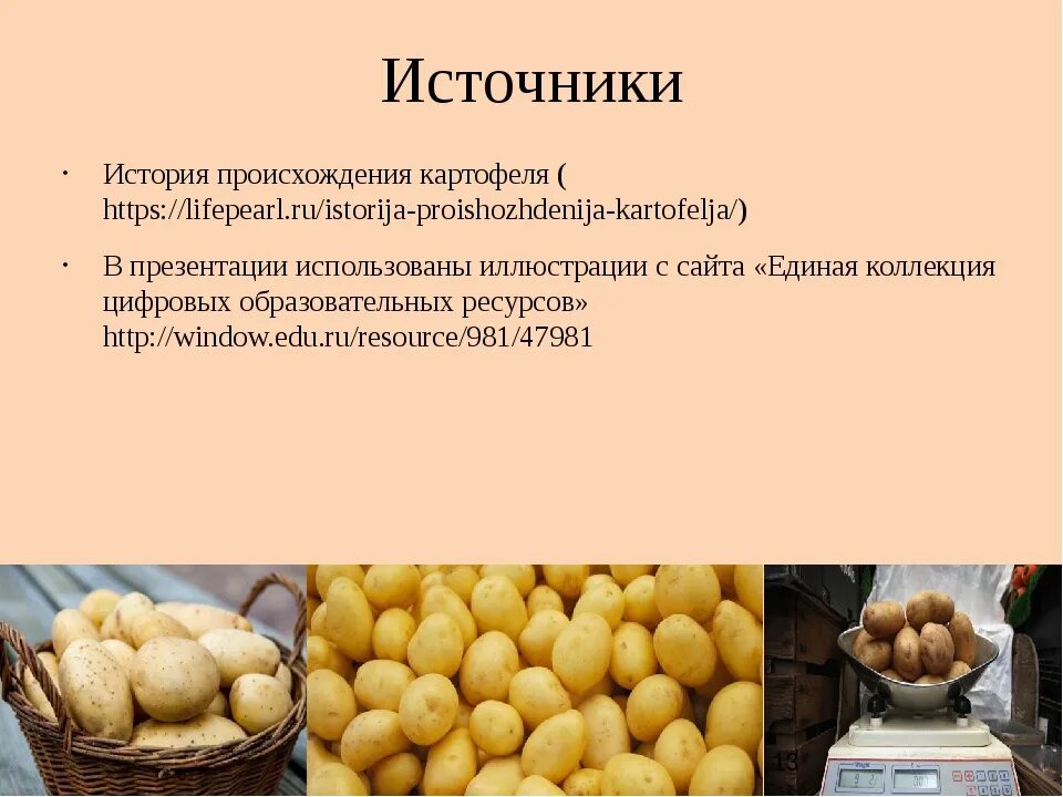 Где появилась картошка