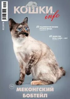 Журналов инфо