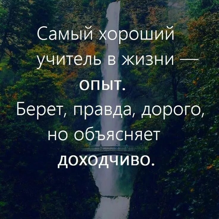 Любой опыт хорош. Самый хороший учитель в жизни. Самый хороший учитель в жизни опыт. Самый хороший учитель в жизни опыт берет дорого. Цитаты про опыт в жизни.