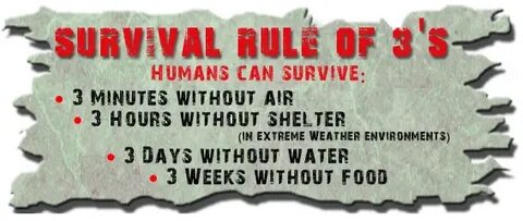 Песня can you survive