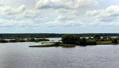 Кубань кострома