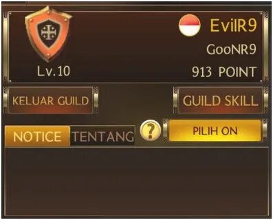Max level guild