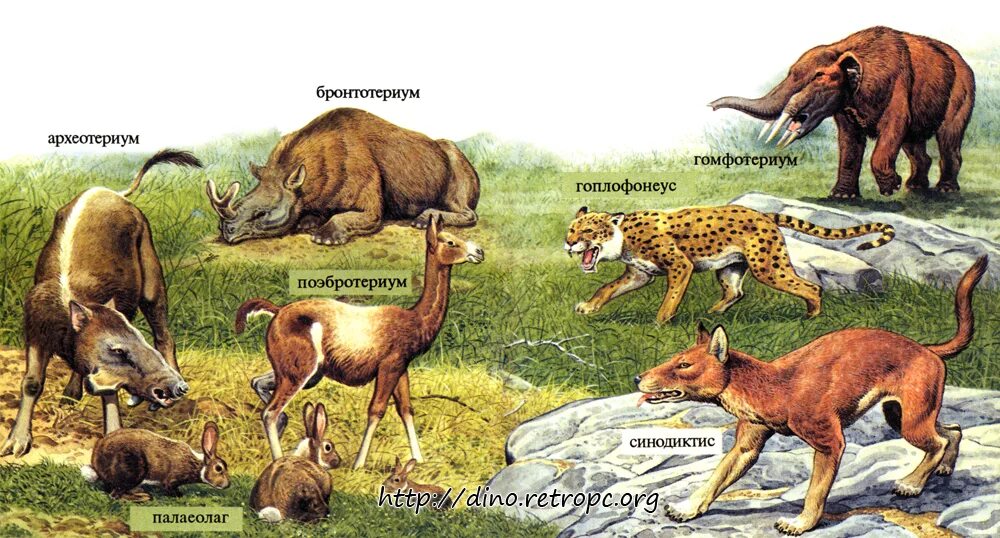 Древние травоядные млекопитающие. Доисторические травоядные животные. Древние хищники с названием. Древние млекопитающие названия.