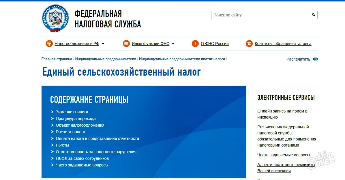 Подача отчетности фнс. Налоговый. ифнс.