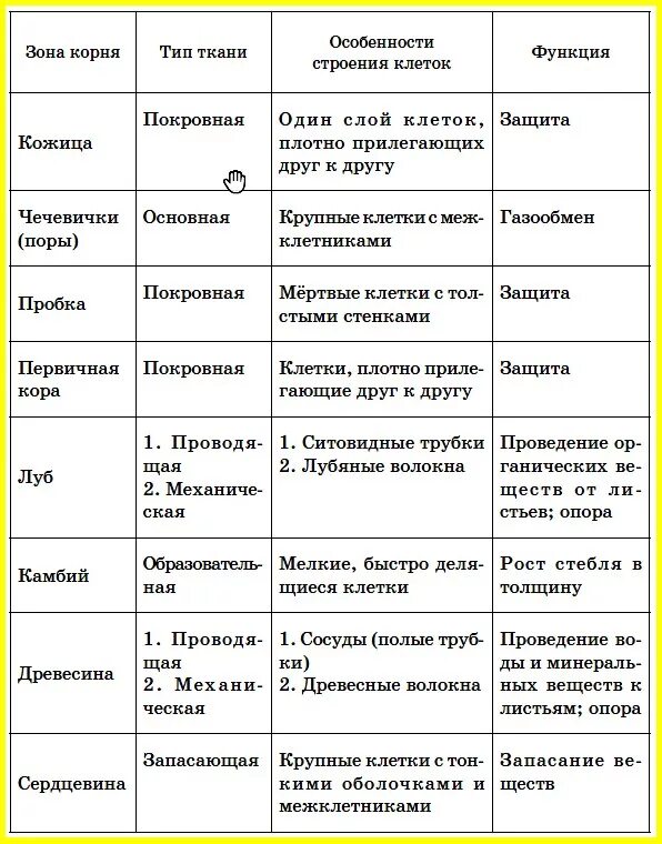 Картинки ТАБЛИЦА ПО БИОЛОГИИ ШЕСТОЙ КЛАСС