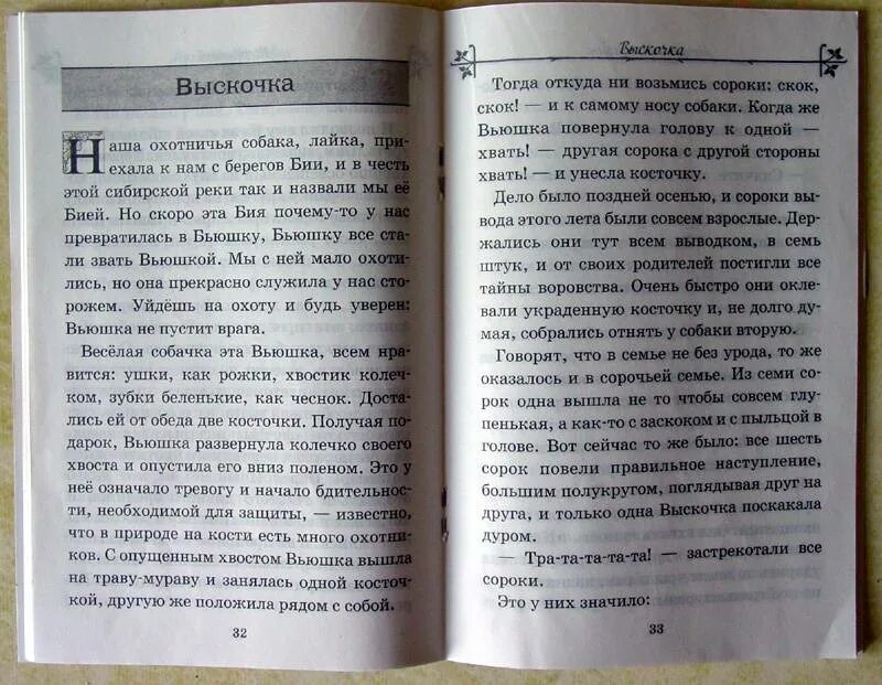 Вьюшка рассказ. Рассказ о вьюшке 4 класс. Диктант собачка вьюшка. Составить рассказ о вьюшке. Как рассказчик относится к вьюшке и выскочке