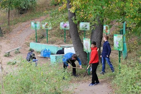 Горная поляна волгоградская область