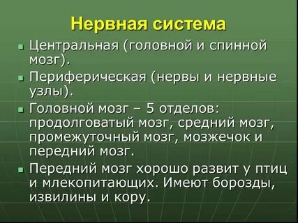 Системы жизнедеятельности животных