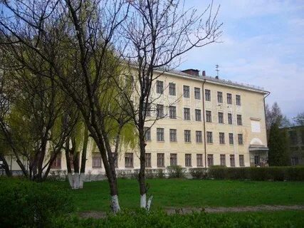 Школа 43 ростов на дону