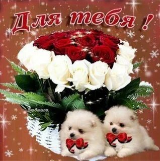 Подруге просто от души