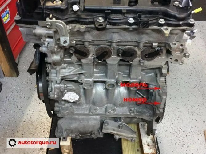 Тойота аурис 1nr fe где находится стартер Toyota Auris с 2013 года идентификация