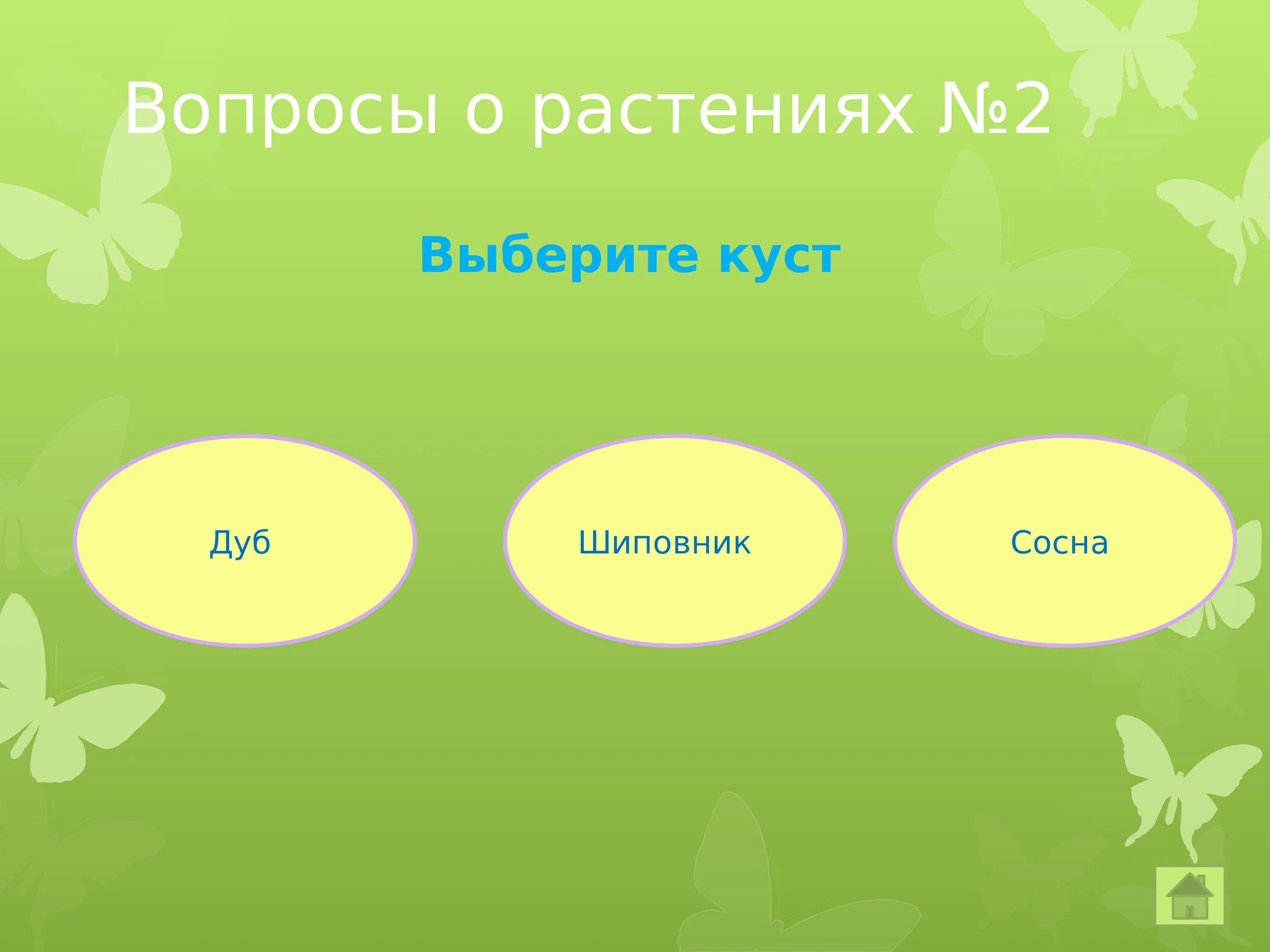 Жизнь леса 2 класс окружающий мир