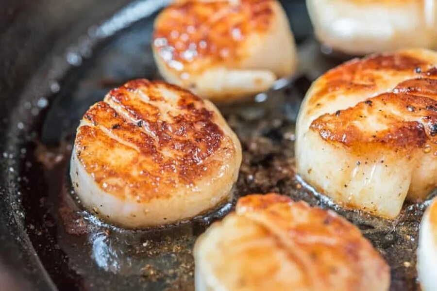 Гребешки запеченные. Морской гребешок блюдо. Seared Scallops. Морской гребешок как приготовить.