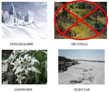 Появление инея относится к осенним явлениям