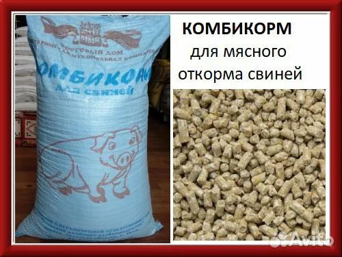 Воронежская область комбикорм. Комбикорм для свиней. комбикорм для свиноматок. комбикорм для откорма свиней. состав комбикорма для поросят.
