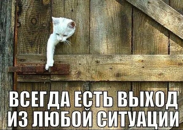 Аыход находится тамже где и вход Фото от подписчика 2023 ВАЗ 2109 И ВАЗ 21099 ВКонтакте