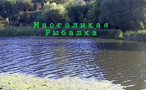 Пруд 23