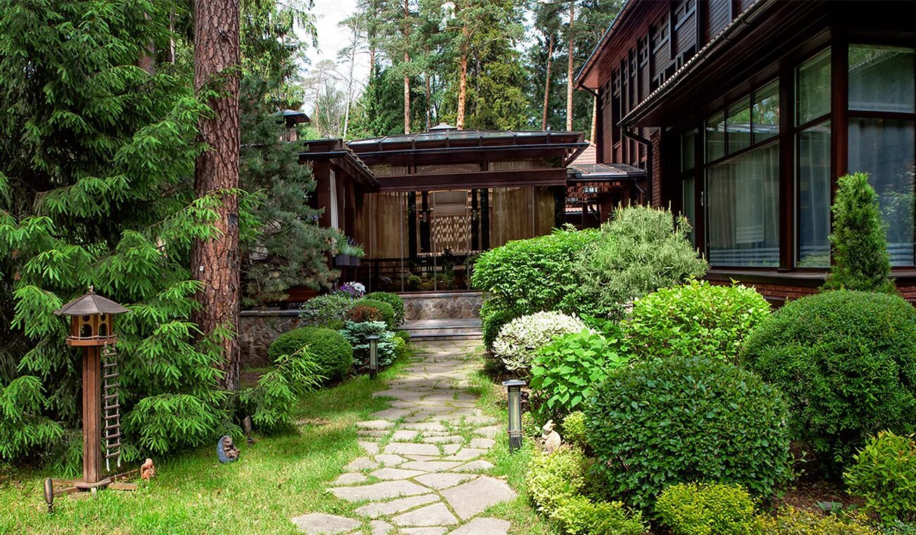 Сосновый бор новосибирск ландшафт. Создание лесного участка. Лесопарковый ландшафт макроландшафт. Дорожки на лесном участке. Ирга ламарка с горной сосной.