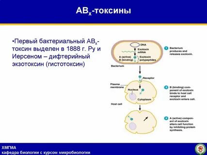 Выделение шлаков