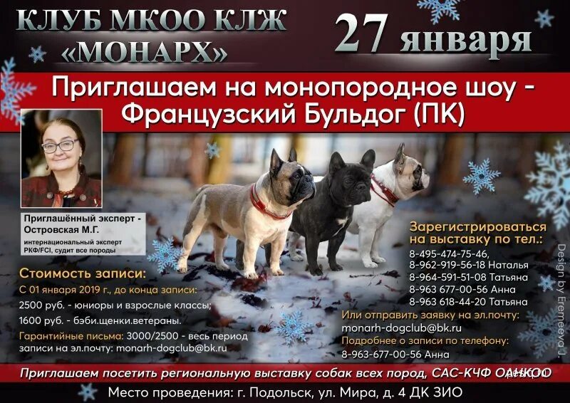 Выставки собак в санкт петербурге 2025 расписание