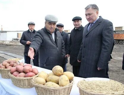 Акима бухар жырауского