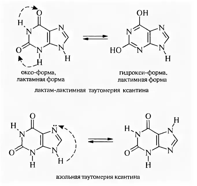 Мурексидная проба