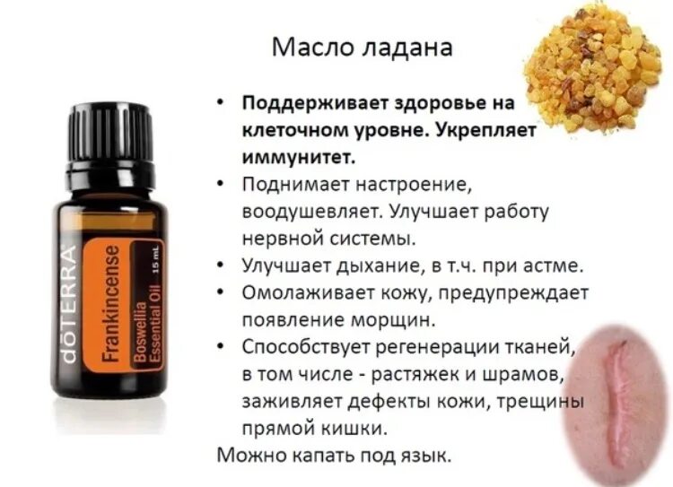 Масло ладана DOTERRA. DOTERRA эфирное масло Ладан. Ладан ДОТЕРРА описание. Состав масла Ладан ДОТЕРРА. Дышать на ладан значение