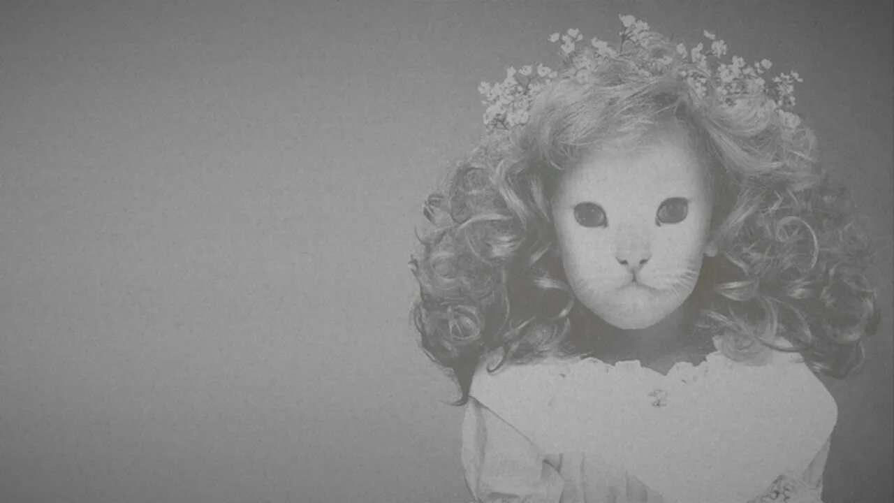 Mr kitty 44 days текст. Kitty текст. Постер mr kitty. Мистер китти афтер дарк. Mr kitty mother mary перевод.