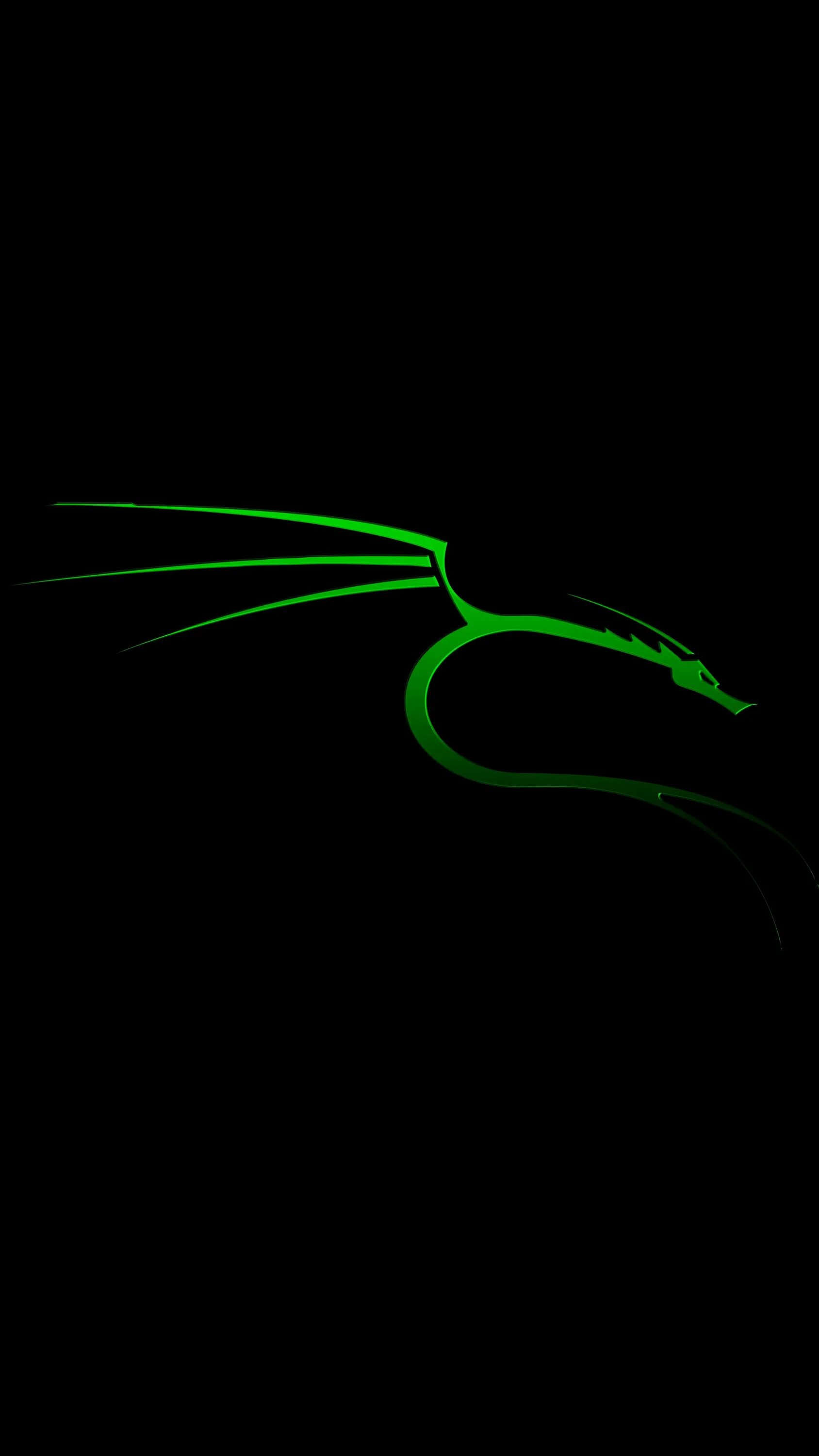 Kali linux android. Кали линукс. kali linux nethunter. дракон кали линукс. кали линукс мобайл.