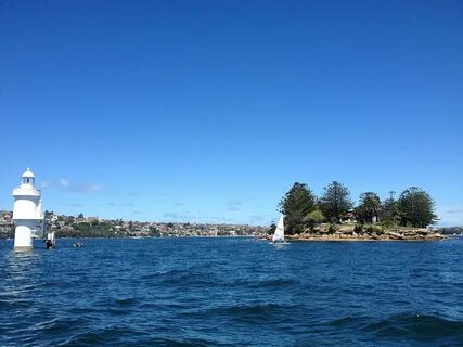 Shark island