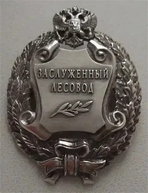 Значок заслуженный работник лесной промышленности. Государственная премия салавата юлаева. Заслуженный лесной. Орден салавата юлаева республики башкортостан. Заслуженный лесной.