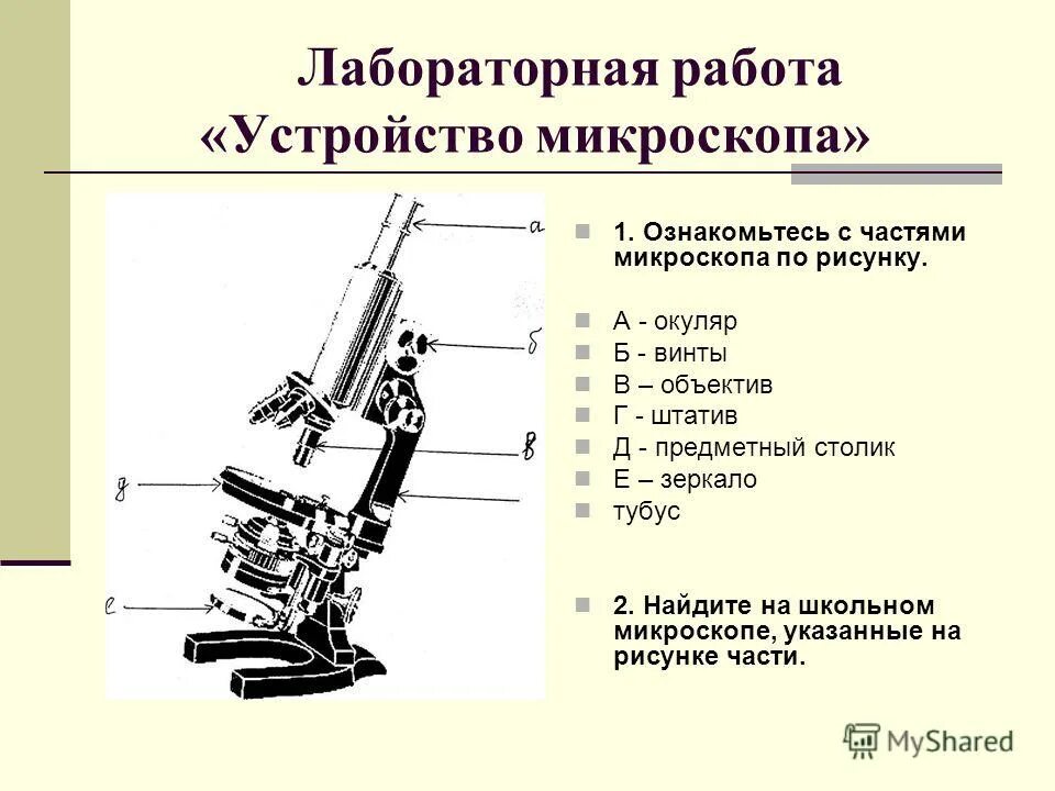 Какую функцию выполняет основание светового микроскопа. Строение электронного микроскопа 5 класс. Строение микроскопа 6 класс. Основные части микроскопа 5 класс биология. Строение окуляра микроскопа.