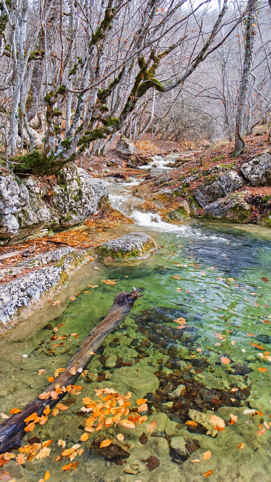 Погода в ручья крыму