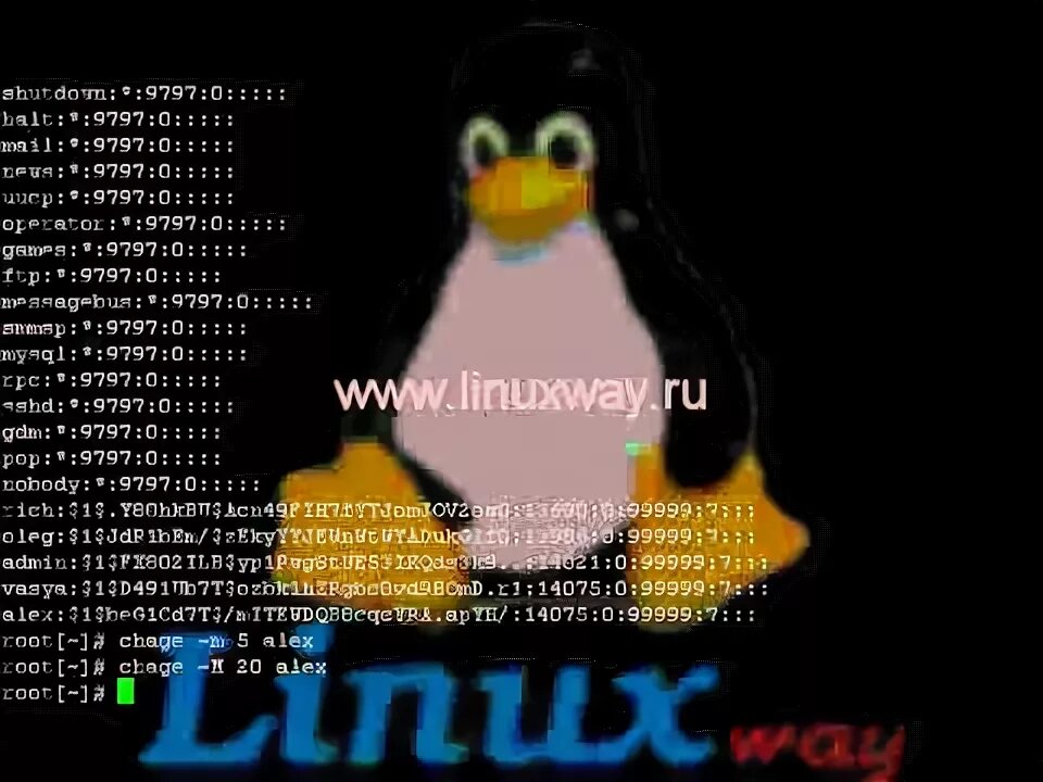 Linux переименовать пользователя. Linux переименовать пользователя