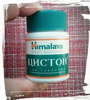 Цистон отзывы женщин