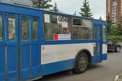 5 автобус остановки