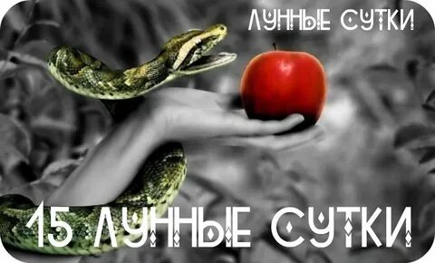 Змеи искусители