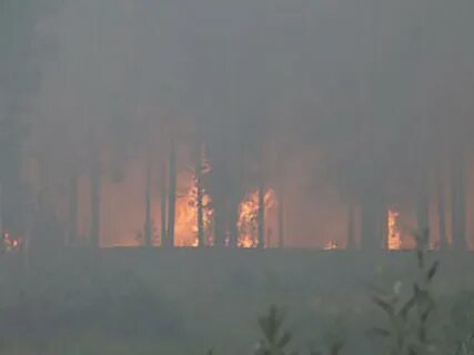Пожары в мире с указанием региона