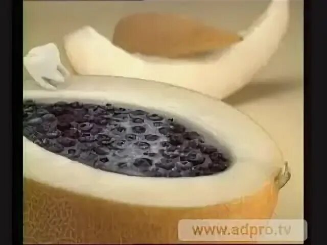 Дыня черника