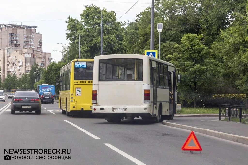 Автобус 827 расписание. С. Остановка автобуса игора. Автобус 827 расписание. Маршрутка 827 сестрорецк.