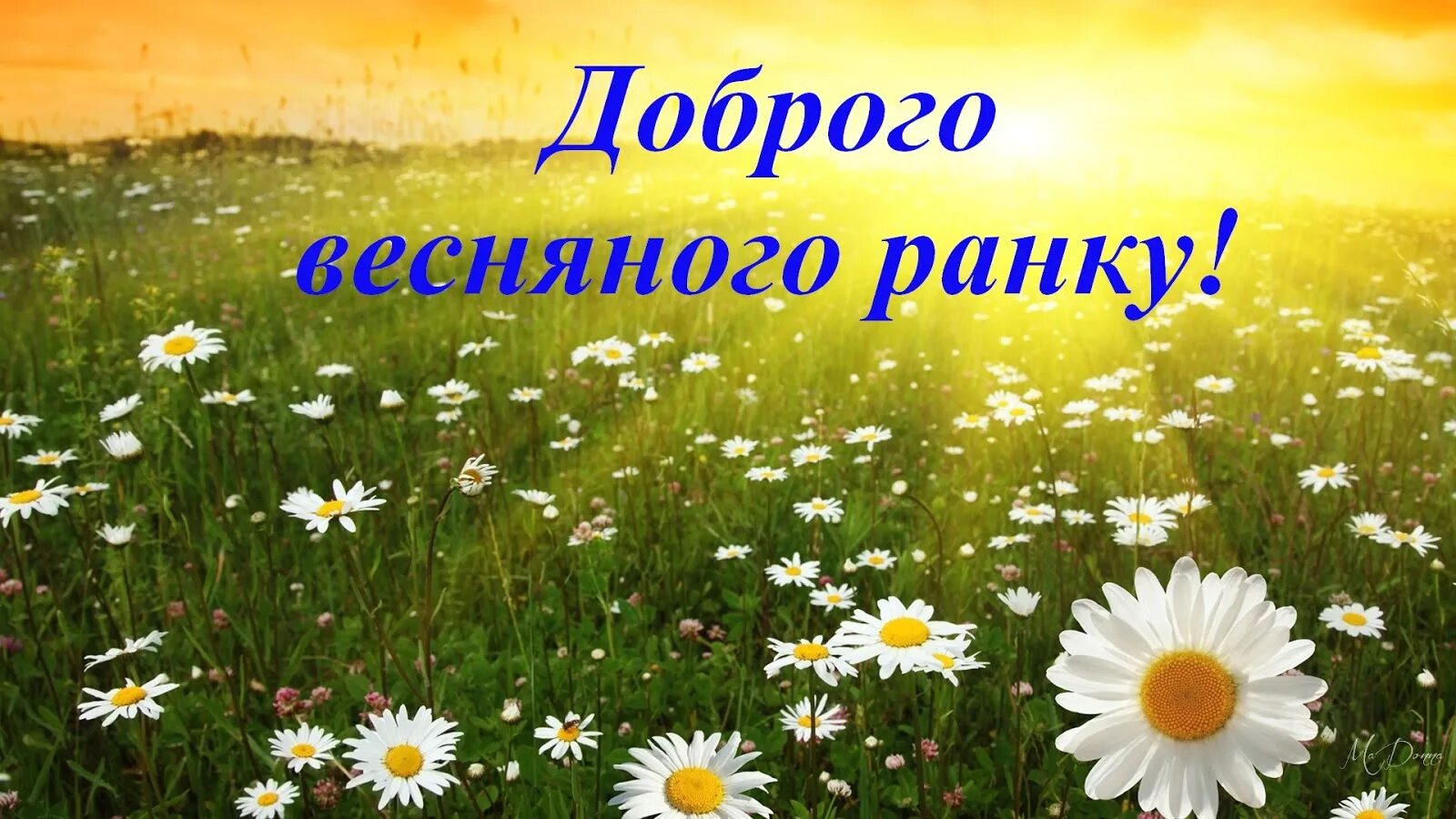 Открытки на украинском языке с добрым. Открытки доброго ранку. Доброго ранку на украинском открытка. Украинские открытки с добрым утром. Доброго ранку на украинском.