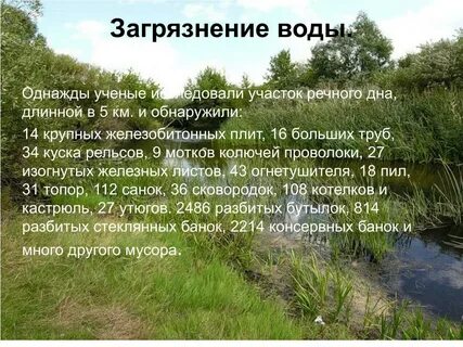Однажды ученый