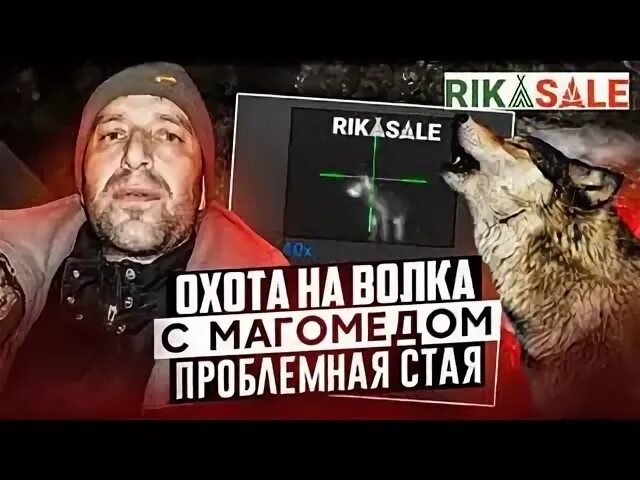 Волки бит 2