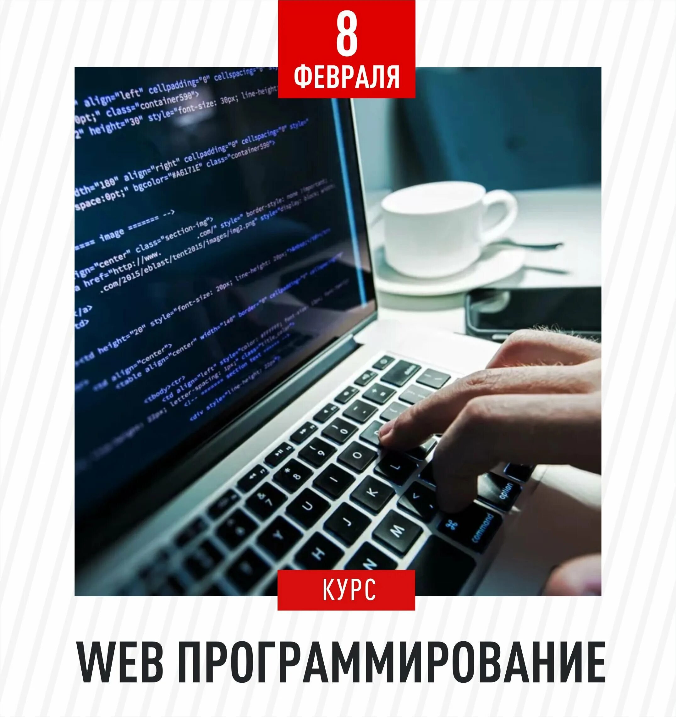 Курсы веб программирования. Web программирование. что проходят на практике 2 курса веб-дизайнер.