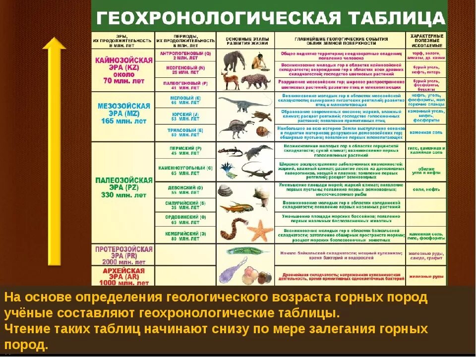 Расположите события в геологической истории. Таблица по географии 7 класс эры и периоды. Эпохи и периоды развития жизни на земле. Эры и периоды для ЕГЭ по биологии.