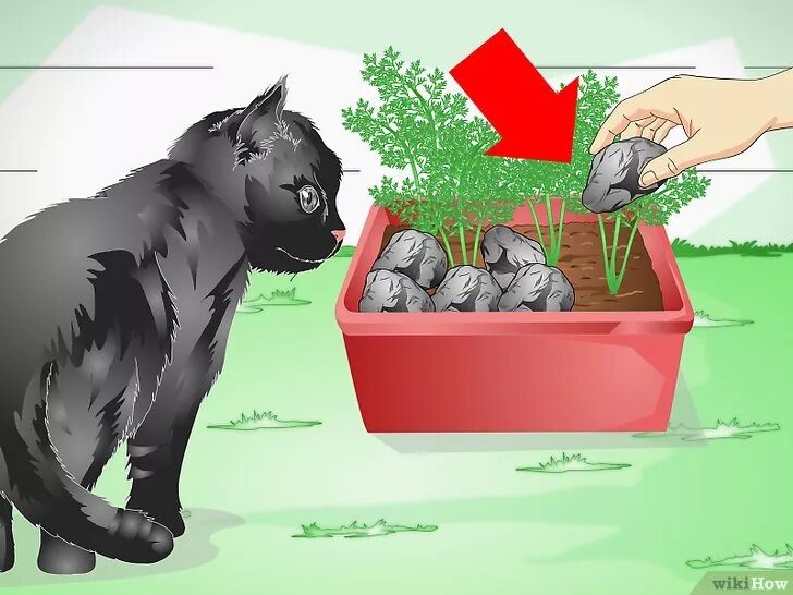 Как обезопасить кошку