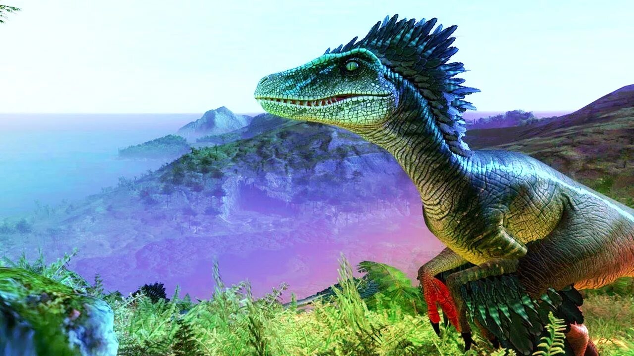 Ark windows
