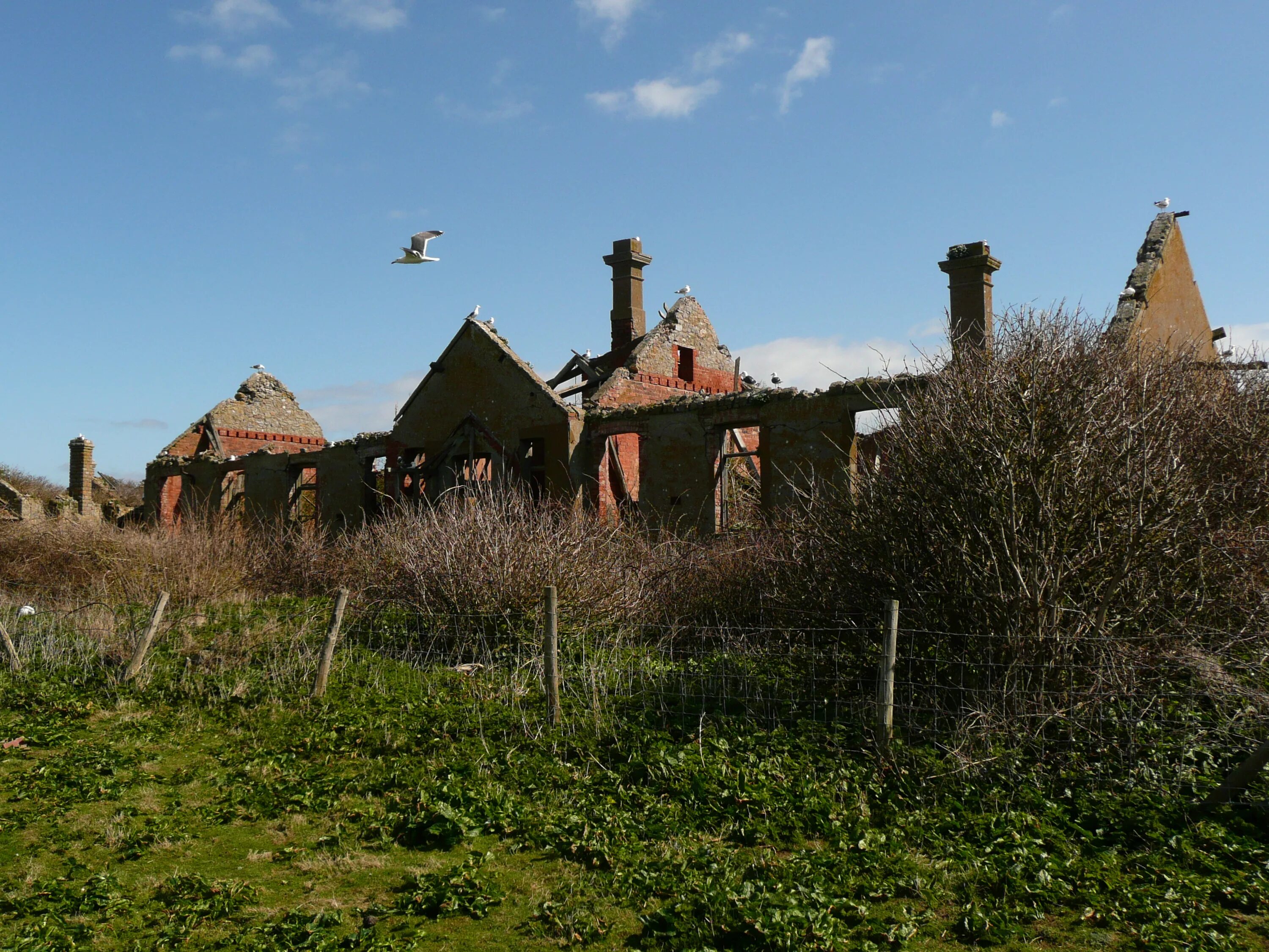 Плоский холм. Флэт холм. Flat Holm.