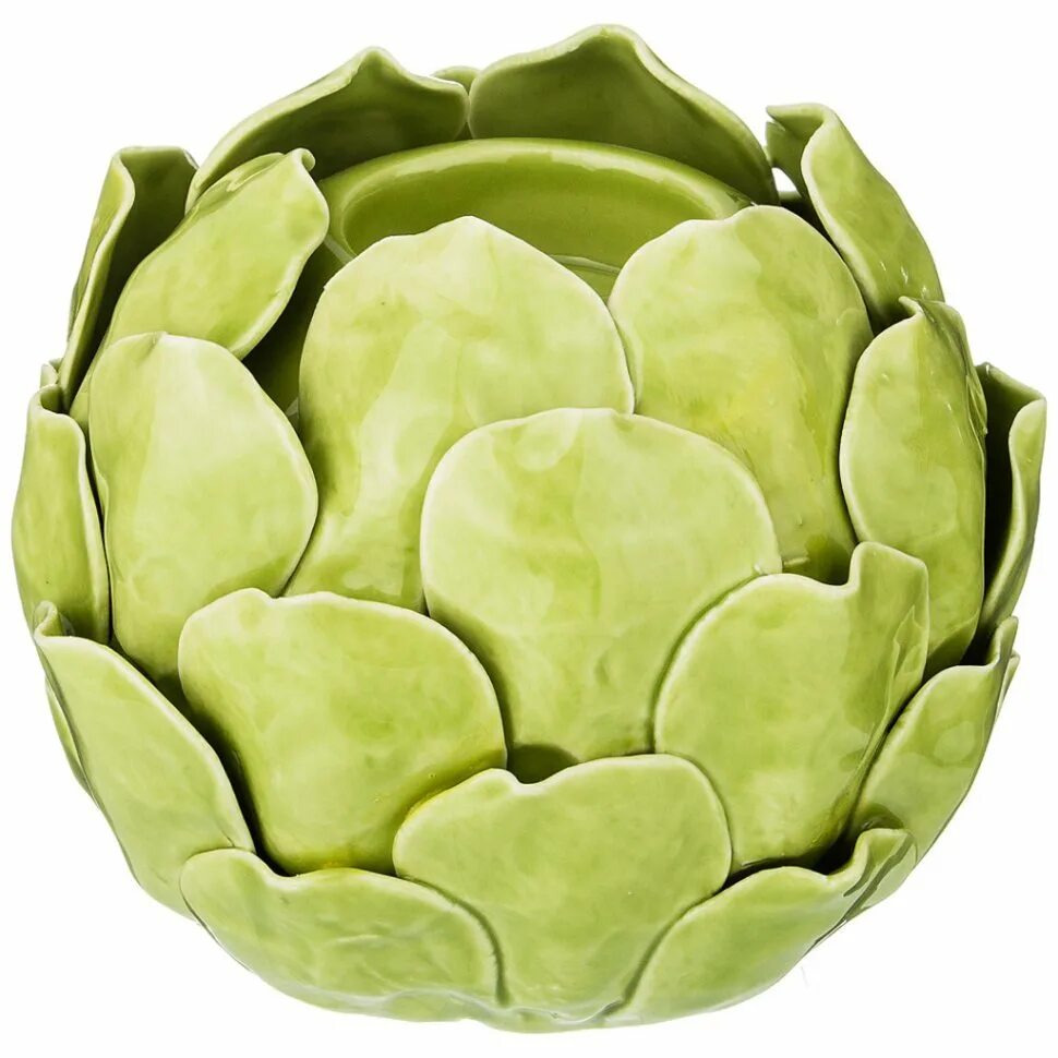 Холидекс артишок. Артишок цветение. Артишок семена. Артишок интернет. Артишок интернет.