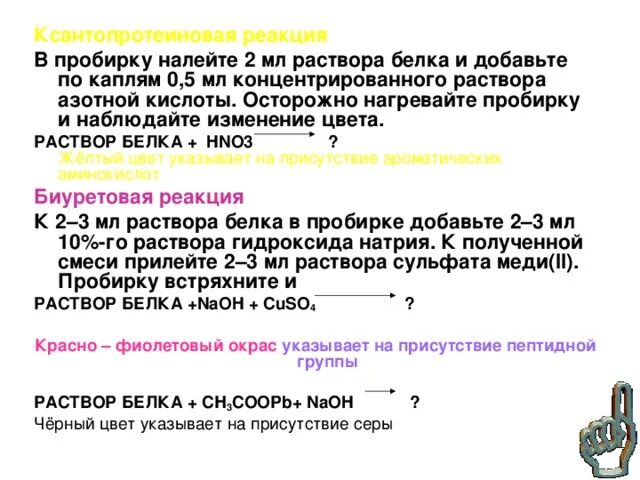 Белки с азотной кислотой. В пробирку налейте 2 мл раствора белка и добавьте 2 мл раствора. Изменение цвета раствора. В пробирку налейте 2 мл раствора белка. Белки и концентрированная азотная кислота.